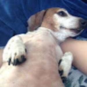 Meet your Posher, Arianna